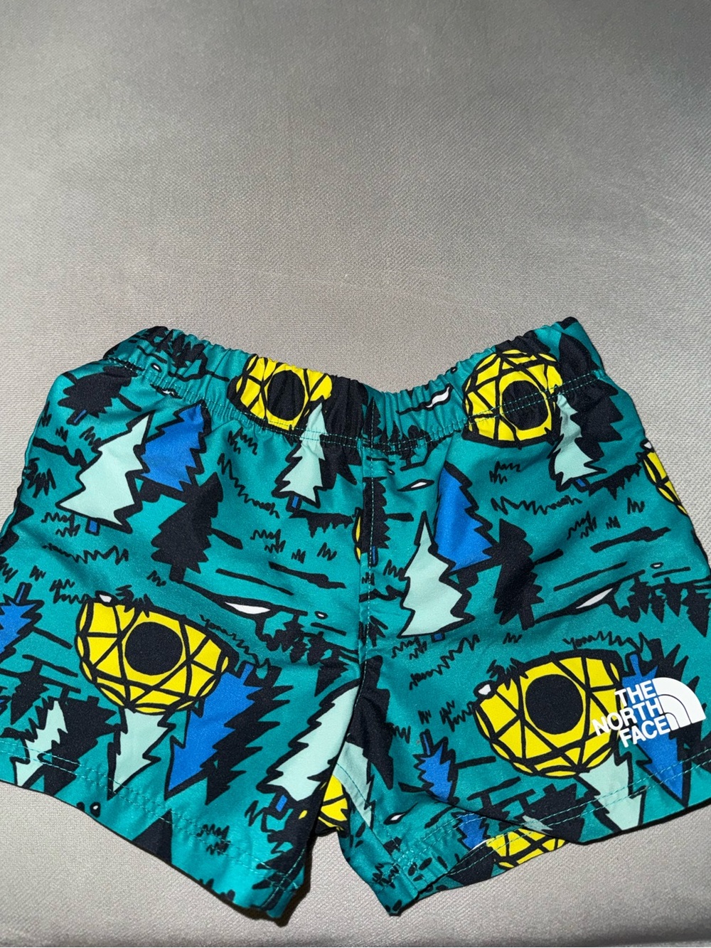 The north face swim trunks
